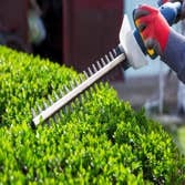 Arbor King Tree Service LLC