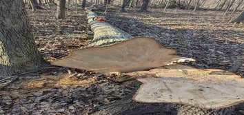 Naugle Logging