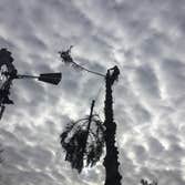 Photo(s) from Reyes Tree Service LLC