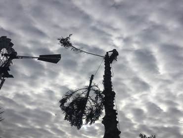 Photo(s) from Reyes Tree Service LLC