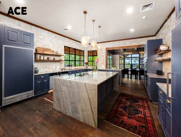 The Blue Oak