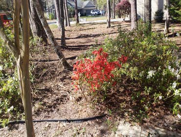 Photos by 4-s Landscaping #4