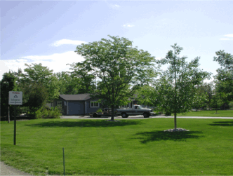 Landscape Projects