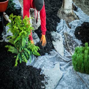 Photos by Chicago Landscaping Services #1