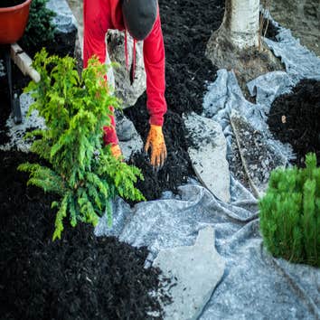 Photos by Chicago Landscaping Services #1