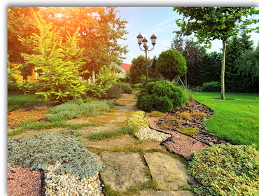 Photos by Aaron's Tree & Landscaping Services #1