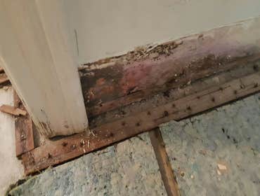 Photos from America Top Restoration