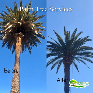 Hallelujah Tree Service