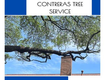 Photos by Contreras Tree Services #30