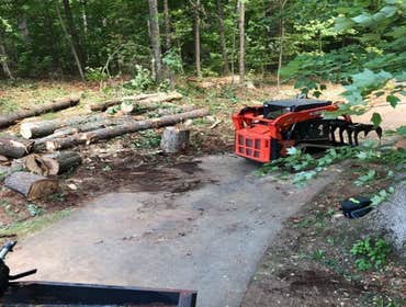 Photos by Palmer Tree Service #1