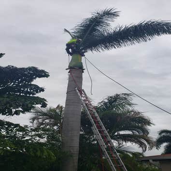 Jireh Tree Care LLC