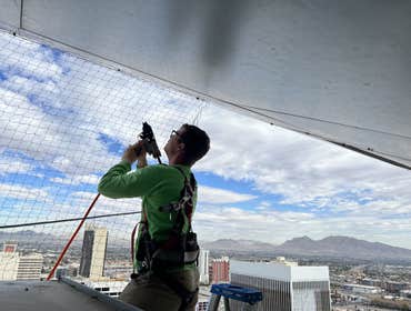 Photos by Preventive Pest Control ST. George #1
