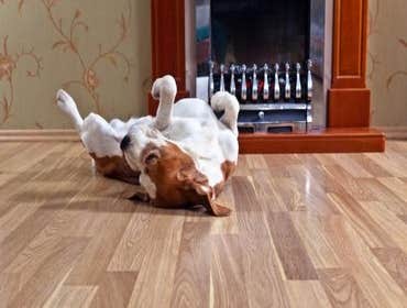 Photos by Seamless Dean Flooring #1