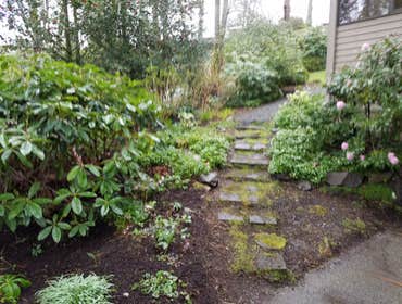 Photos from Botanical Sam's LLC
