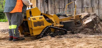 Photos by Nottingham Tree Surgeons #1
