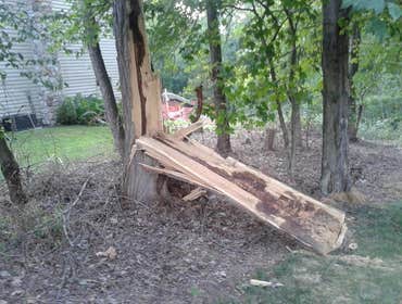 Photo(s) from Anthonys Tree Care