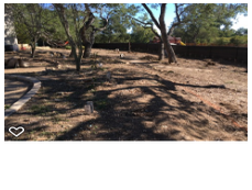 Photos by Foothill Nursery & Landscape Inc #1
