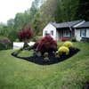 White Bear Landscaping logo