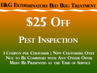 Coupon 3 bed bug control