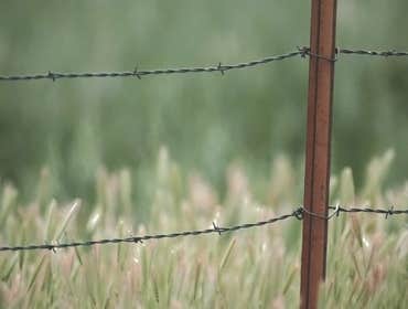 Fences