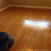 Hardwood Revival