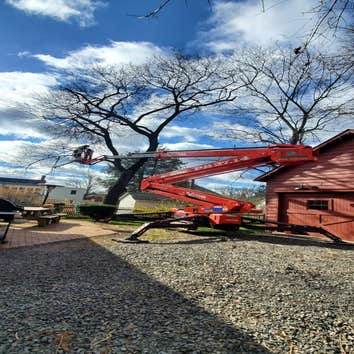Photos by Green Point Tree Services & Landscaping #3