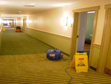 Photos by Thompson Restoration Associates #1
