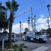 Continental Landscaping Services LLC