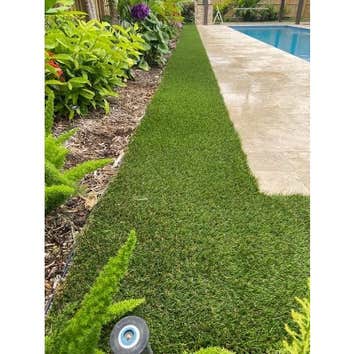 the Turf Masters