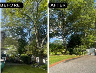 Photos by American Pride Tree Experts & Landscaping Inc #61
