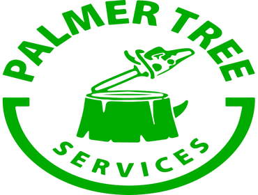 Photos by Palmer Tree Service #1