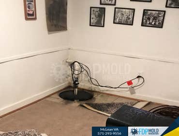 Photos by FDP Mold Remediation of McLean #1