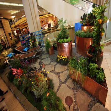 Photos from Garden Pros