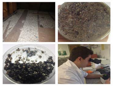 Photos by Bioterra Environmental Solutions, LLC #2
