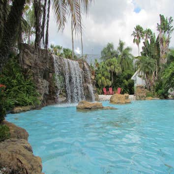 Dog Days Pools