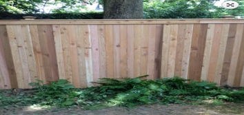 Fences