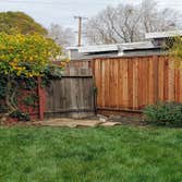 Photos by Encinal Tree Service Inc #4
