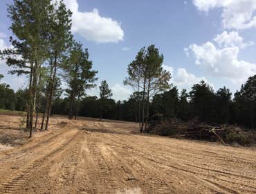 Photo(s) from Promise Land Dirt Works & Clearing Services LLC