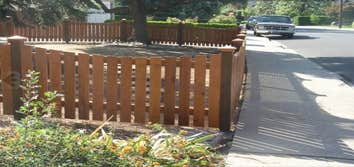 Photos from Ben Ruiz Tree And Landscaping Contractor