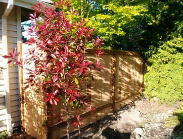 Photos by Alpine Contractors LLC #1