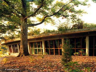 Building Design