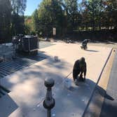 C.P.R Roofing & Construction