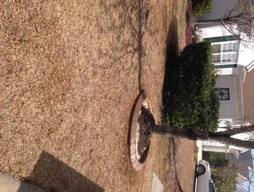 Photos from Coastal Curbing
