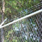 Chain link
