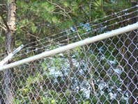 Chain link