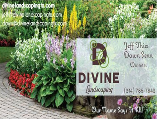 Photos by Divine Landscaping #1