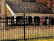 Fences