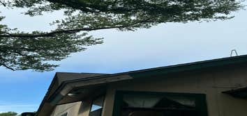 Photos by Naranjal Tree Service LLC #2