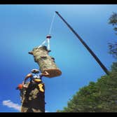 Photo(s) from Treeworkz, LLC