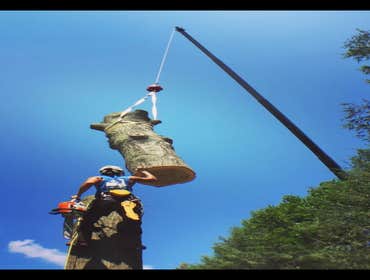 Photo(s) from Treeworkz, LLC